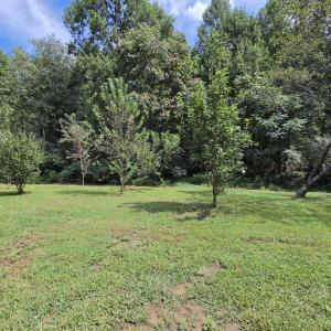 Photo #9 of 2159 Glenmore Rd, Scottsville, VA 5.2 acres