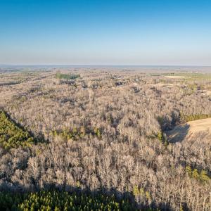 Photo #28 of 25805 N James Madison Hwy, New Canton, VA 57.1 acres
