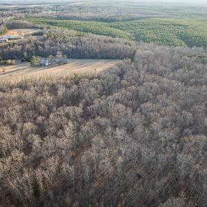 Photo #29 of 25805 N James Madison Hwy, New Canton, VA 57.1 acres