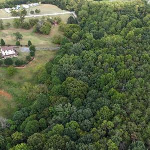 Photo #8 of 195 Horsehoe Dr, Hurt, VA 8.8 acres