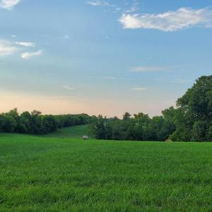 Photo #10 of 542 Ampthill, Cartersville, VA 4.0 acres