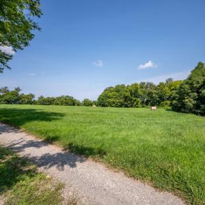 Photo #7 of 542 Ampthill, Cartersville, VA 4.0 acres