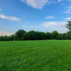 Photo #11 of 542 Ampthill, Cartersville, VA 4.0 acres