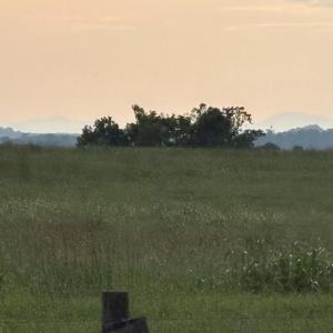Photo #8 of 542 Ampthill, Cartersville, VA 4.0 acres