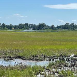 Photo #51 of 7181 BUNTING RD, CHINCOTEAGUE, VA 0.1 acres