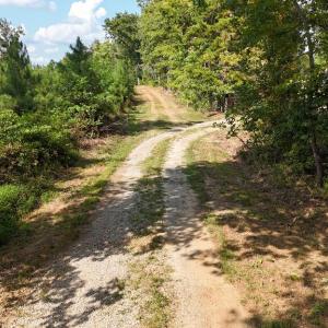 Photo #2 of 250 296 CC LANE, Drakes Branch, VA 23.3 acres