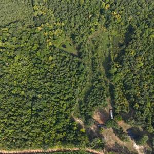 Photo #36 of 250 296 CC LANE, Drakes Branch, VA 23.3 acres