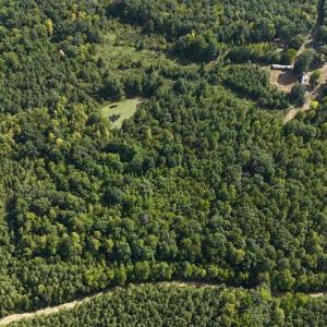 Photo #41 of 250 296 CC LANE, Drakes Branch, VA 23.3 acres