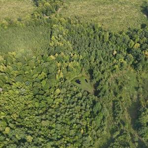 Photo #43 of 250 296 CC LANE, Drakes Branch, VA 23.3 acres