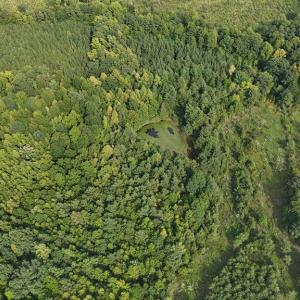 Photo #44 of 250 296 CC LANE, Drakes Branch, VA 23.3 acres