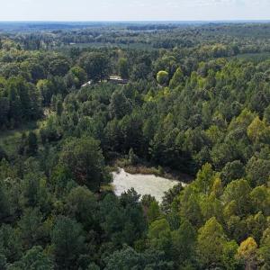 Photo #45 of 250 296 CC LANE, Drakes Branch, VA 23.3 acres