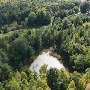 Photo #46 of 250 296 CC LANE, Drakes Branch, VA 23.3 acres