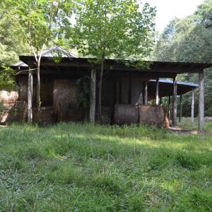 Photo #10 of 82 Rock Creek Rd, Cumberland, VA 51.7 acres