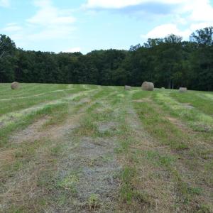 Photo #25 of 82 Rock Creek Rd, Cumberland, VA 51.7 acres