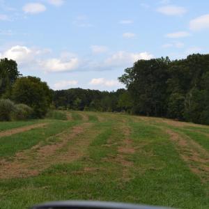 Photo #26 of 82 Rock Creek Rd, Cumberland, VA 51.7 acres