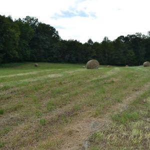 Photo #28 of 82 Rock Creek Rd, Cumberland, VA 51.7 acres