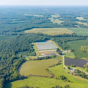 Photo #89 of 21 Vanderpool Lane, Cumberland, VA 95.0 acres