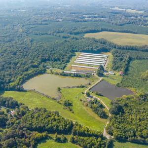 Photo #90 of 21 Vanderpool Lane, Cumberland, VA 95.0 acres