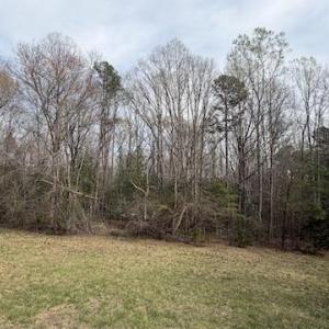 Photo #58 of 427 Muscadine Trail, Baskerville, VA 10.0 acres
