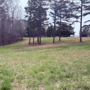 Photo #9 of 427 Muscadine Trail, Baskerville, VA 10.0 acres