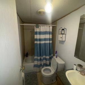 Photo #10 of 269, 213 Snail Creek Rd, Green Bay, VA 5.8 acres