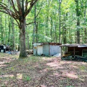 Photo #14 of 3599 Skipwith Rd, Boydton, VA 3.6 acres