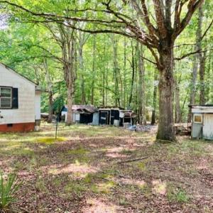 Photo #15 of 3599 Skipwith Rd, Boydton, VA 3.6 acres