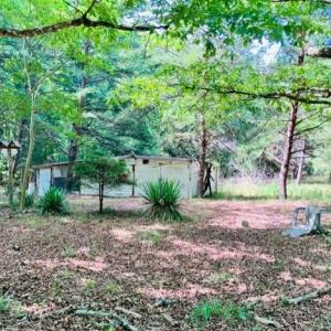 Photo #6 of 3599 Skipwith Rd, Boydton, VA 3.6 acres
