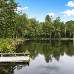 Lake looking South