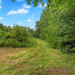 Trails - Explore fields, The house is located on a parcel with 36.65ac.
