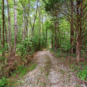 Trails - , This property offers homesteading and endless outdoor recreation adventures.