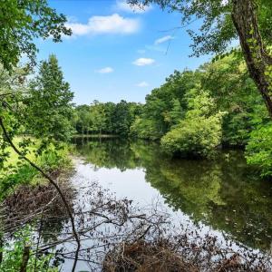 View of Lake from Trails