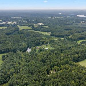 Woods NE of home, 64.8 acres