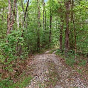 Get Back to Nature - Adventure Awaits