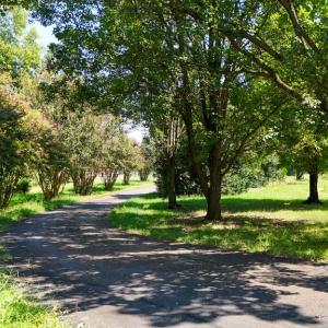 Photo #45 of 2603 Anderson Hwy, Cumberland, VA 12.9 acres