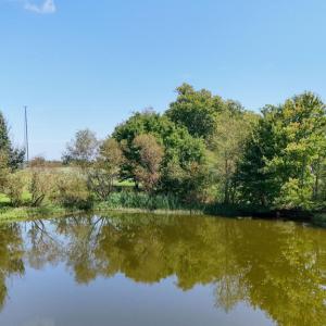 Photo #52 of 2603 Anderson Hwy, Cumberland, VA 12.9 acres