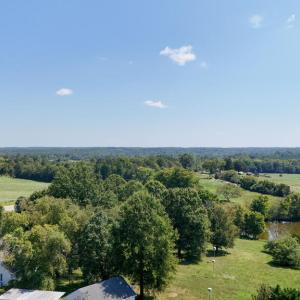 Photo #54 of 2603 Anderson Hwy, Cumberland, VA 12.9 acres