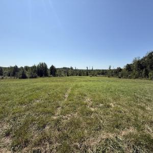 Photo #63 of 4234 Birch Elmo Rd, South Boston, VA 17.3 acres