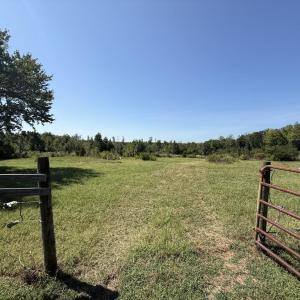 Photo #67 of 4234 Birch Elmo Rd, South Boston, VA 17.3 acres
