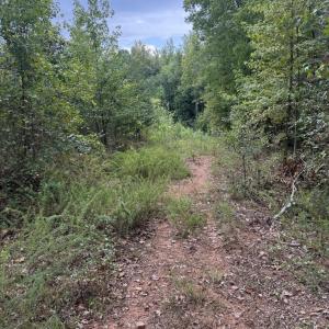 Photo #73 of 4234 Birch Elmo Rd, South Boston, VA 17.3 acres