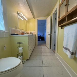 Photo #57 of 4234 Birch Elmo Rd, South Boston, VA 17.3 acres