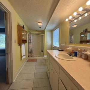 Photo #59 of 4234 Birch Elmo Rd, South Boston, VA 17.3 acres