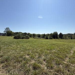 Photo #64 of 4234 Birch Elmo Rd, South Boston, VA 17.3 acres