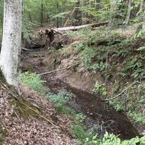 Photo #71 of 4234 Birch Elmo Rd, South Boston, VA 17.3 acres