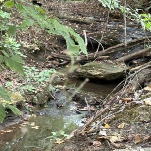 Photo #72 of 4234 Birch Elmo Rd, South Boston, VA 17.3 acres