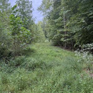 Photo #74 of 4234 Birch Elmo Rd, South Boston, VA 17.3 acres