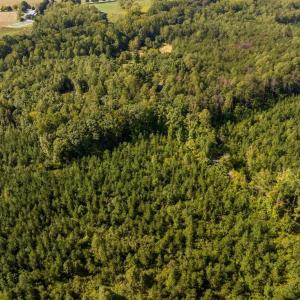 Photo #4 of 22978 E James Anderson Hwy, Cumberland, VA 25.0 acres