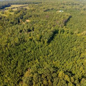 Photo #5 of 22978 E James Anderson Hwy, Cumberland, VA 25.0 acres