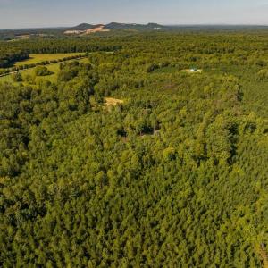 Photo #6 of 22978 E James Anderson Hwy, Cumberland, VA 25.0 acres