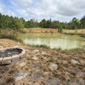 Photo #23 of 1471 New Bethel Road, Meherrin, VA 20.3 acres